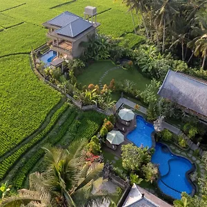 4* Hotel Gynandha